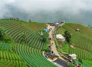 Terasering Panyaweuyan